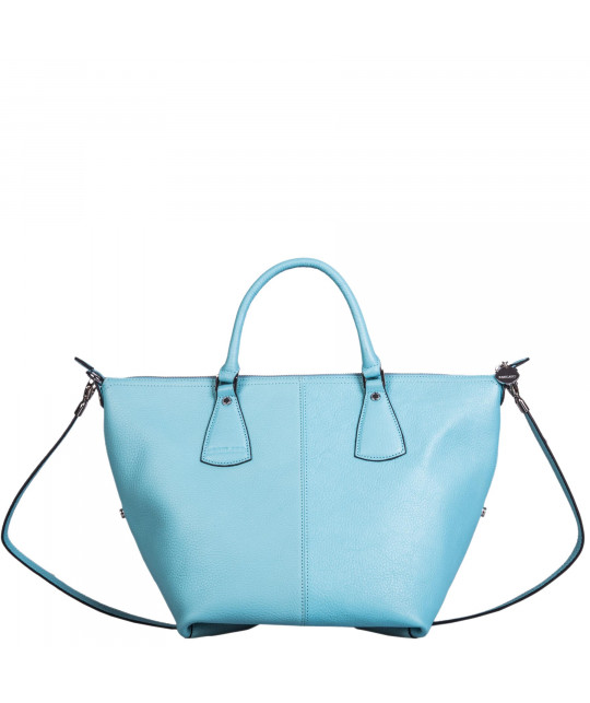 CAMELEON_NC_LG Vue 2