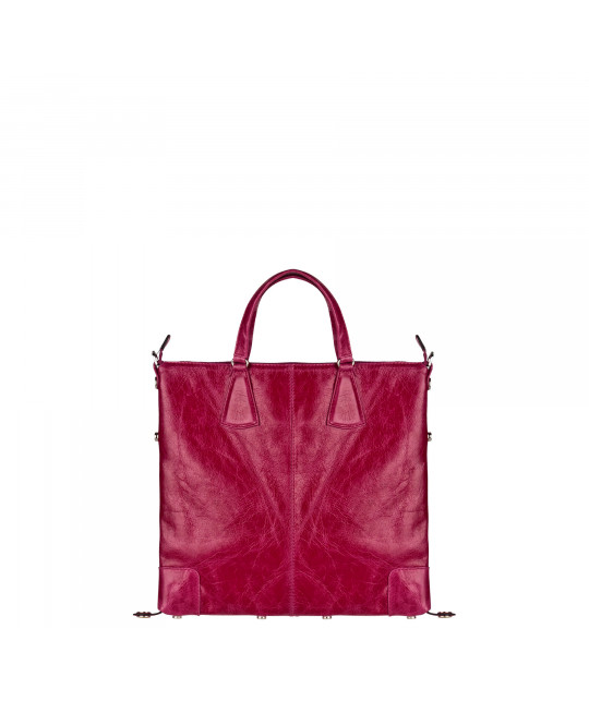 CAMELEONXS_NA_FS Face