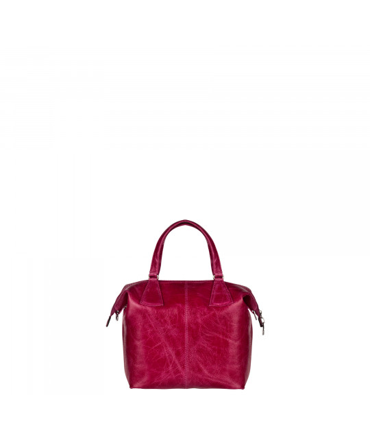 CAMELEONXS_NA_FS Vue 1