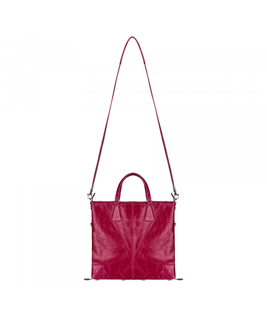 CAMELEONXS_NA_FS Vue 2