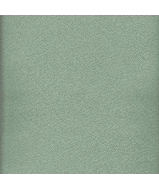 FEDORA_NC_LA Photo article non disponible