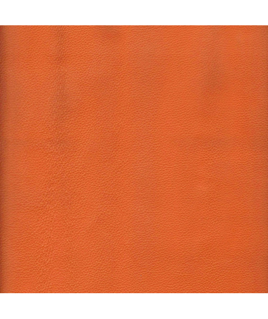 FEDORA_NC_OG Photo article non disponible