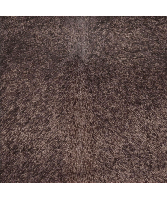 CAMELEON_PO_GF Photo article non disponible