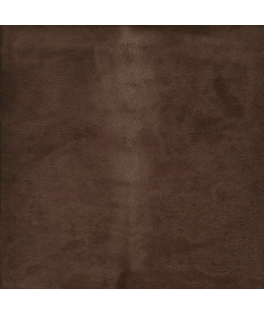 CAMELEON_PO_MR Photo article non disponible