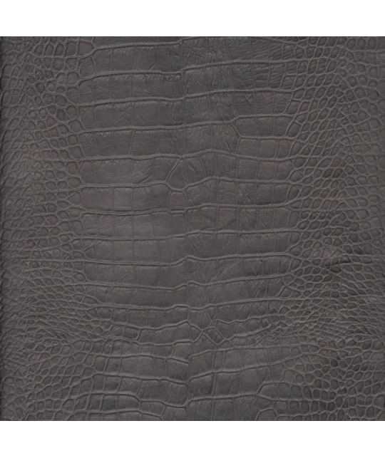 LEAR_CR_FE Photo article non disponible