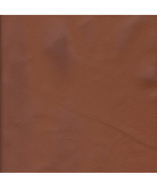 CAMELEON_NC_CG Photo article non disponible