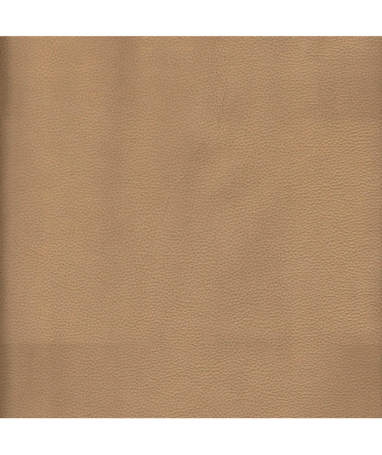 FELIX_NC_TP Photo article non disponible