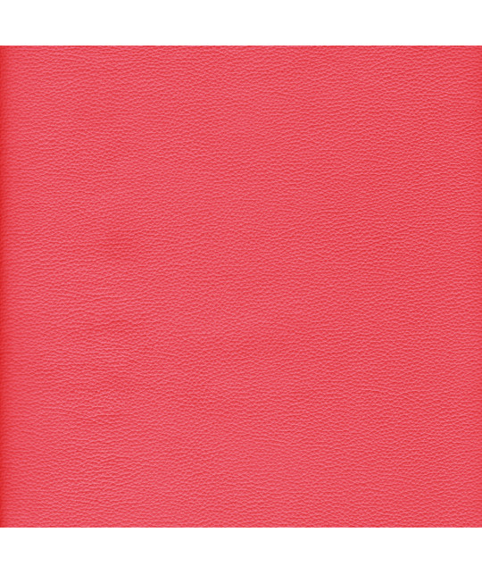 ANDREW_NC_MA Photo article non disponible