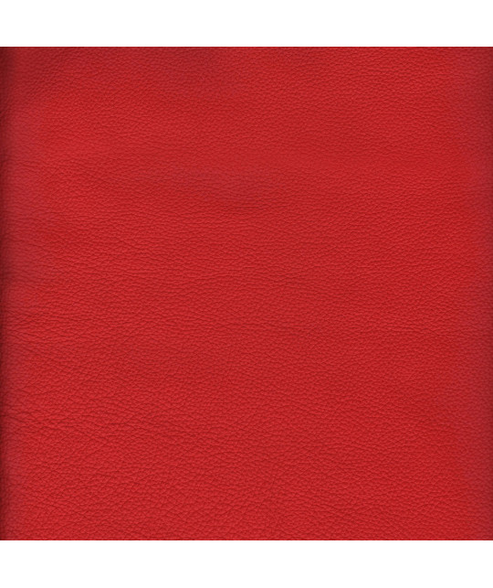 MINA_NC_R Photo article non disponible