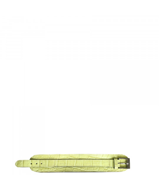 BRAC2_CR_TI Profil