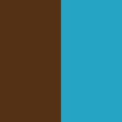 Chocolat / Light Turquoise - CH/LTQ