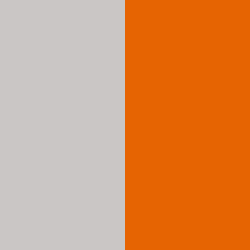 Gris Clair / Orange - GCOG