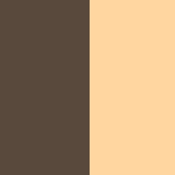 CHOCOLAT/BEIGE - CHBE